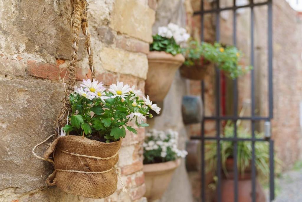 Corte Paolina - Charming Courtyard Inside Lucca Buitenkant foto