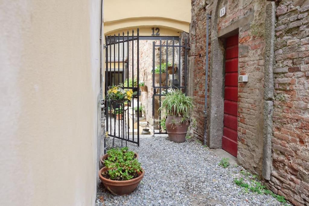 Corte Paolina - Charming Courtyard Inside Lucca Buitenkant foto